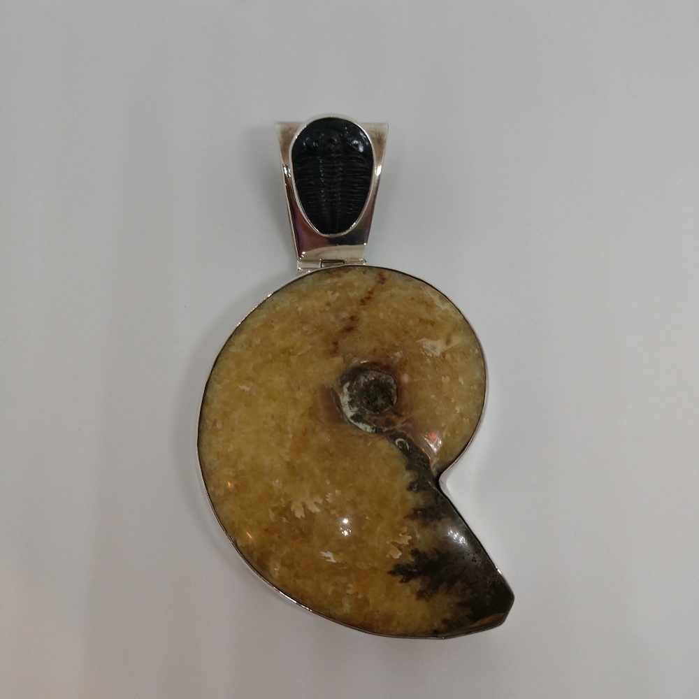 Charles Albert Ammonite and Trilobite Pendant